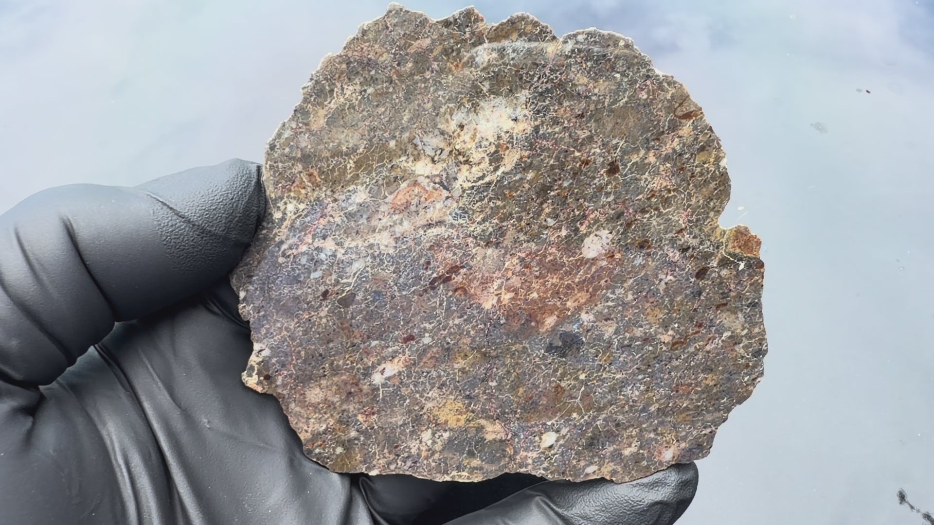 Laayoune 002 lunar meteorite end cut, 116.40 g, video rotating the polished face in hand
