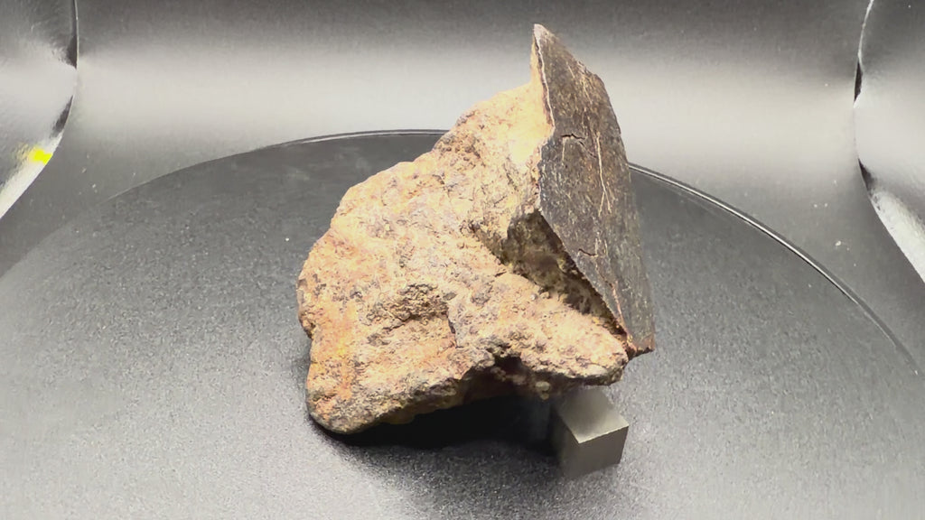 NWA 18593 Winonaite Meteorite End Cut 279.74g Mirror Polished Primitive Achondrite