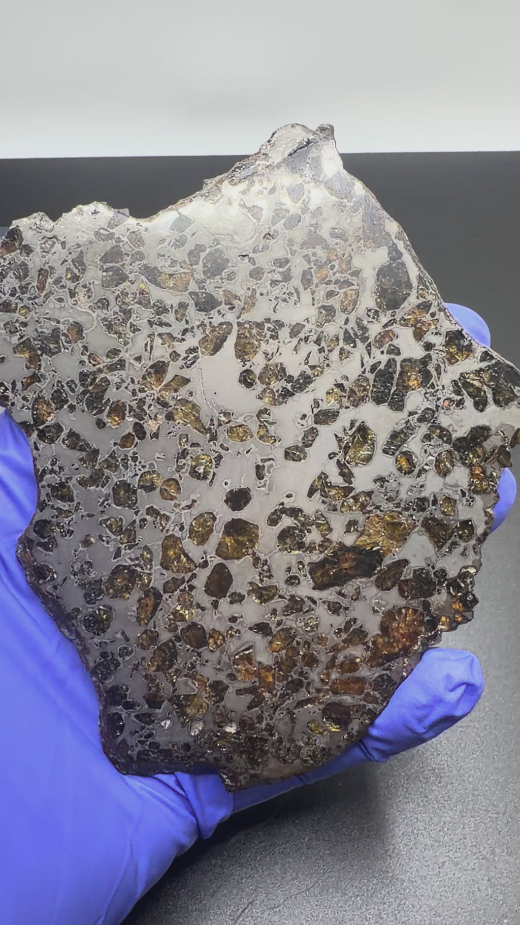 Gyarub Zangbo Pallasite Meteorite Slice, Ungrouped, 94.90g, Etched and Stabilized