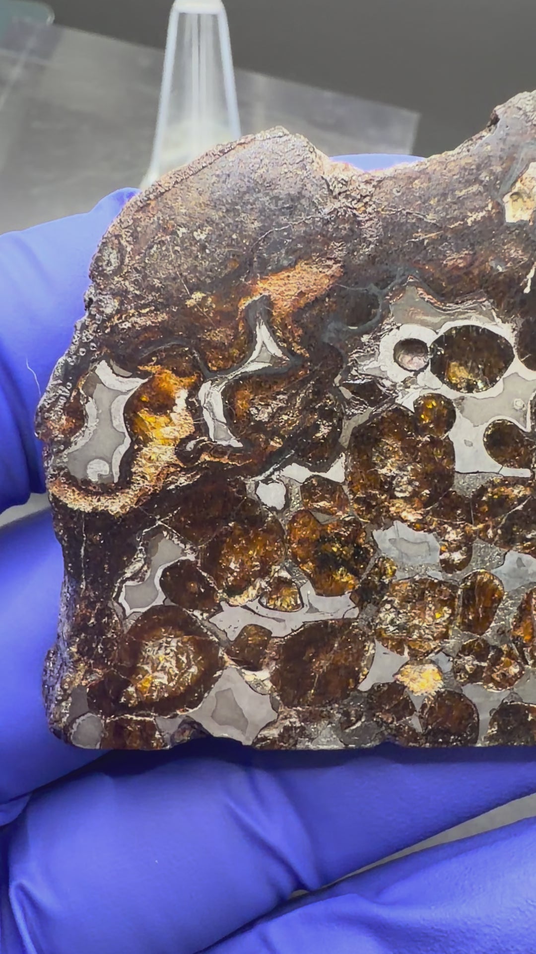 video of entire pallasite slice, back and front