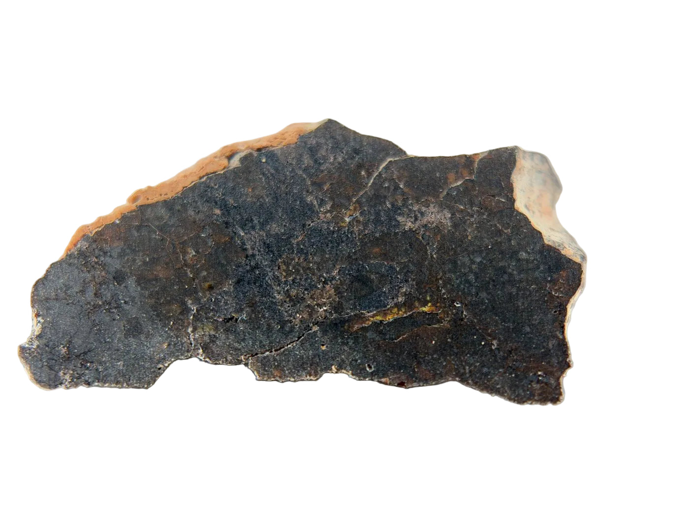 Rafsa 005 Angrite Meteorite End Cut, Plutonic Angrite, 1.09g, Protogranular Texture