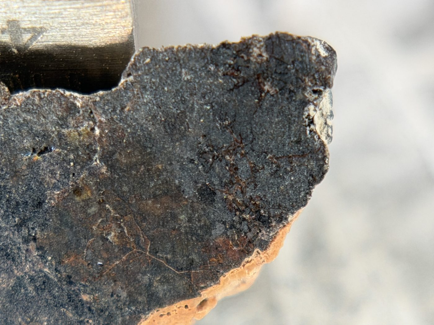 Rafsa 005 Angrite Meteorite End Cut, Plutonic Angrite, 1.09g, Protogranular Texture
