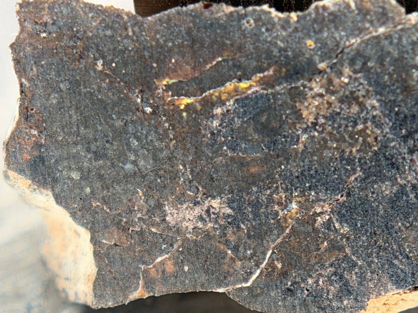 Rafsa 005 Angrite Meteorite End Cut, Plutonic Angrite, 1.09g, Protogranular Texture