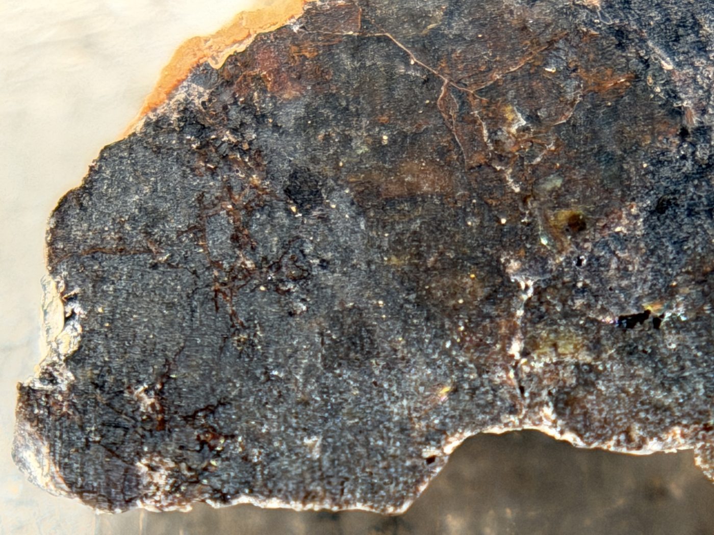 Rafsa 005 Angrite Meteorite End Cut, Plutonic Angrite, 1.09g, Protogranular Texture