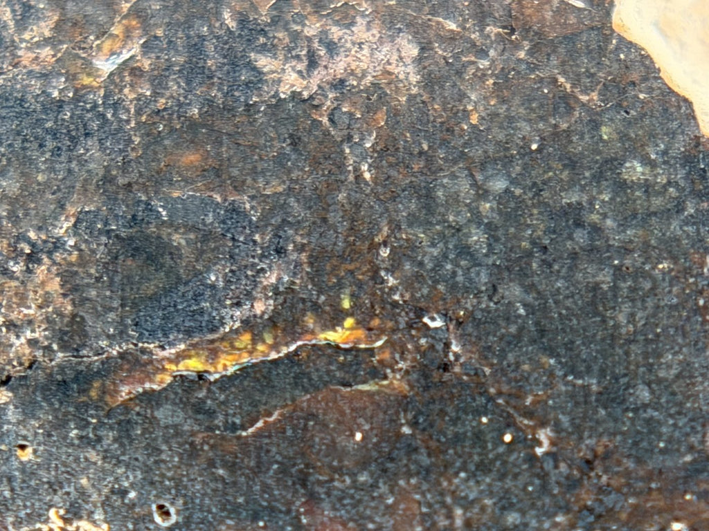 Rafsa 005 Angrite Meteorite End Cut, Plutonic Angrite, 1.09g, Protogranular Texture