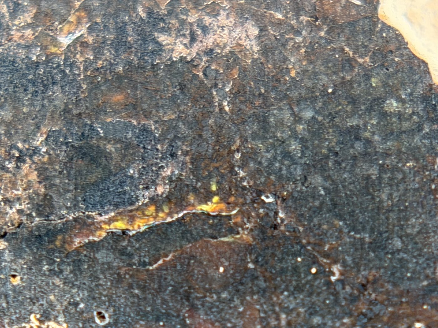 Rafsa 005 Angrite Meteorite End Cut, Plutonic Angrite, 1.09g, Protogranular Texture