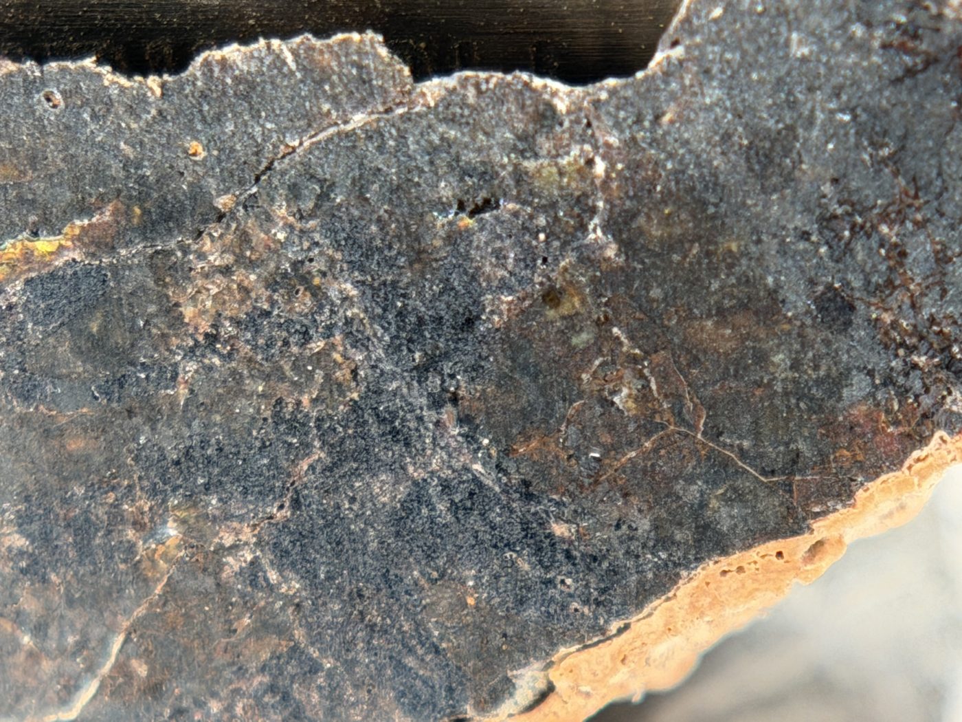 Rafsa 005 Angrite Meteorite End Cut, Plutonic Angrite, 1.09g, Protogranular Texture