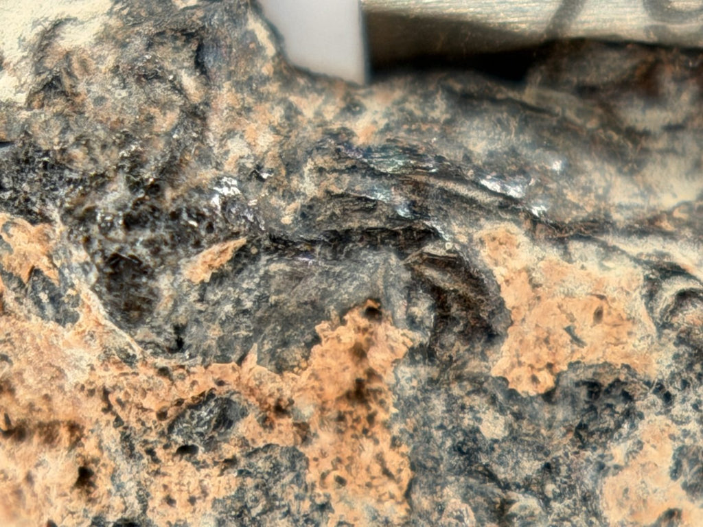 Rafsa 005 Angrite Meteorite End Cut, Plutonic Angrite, 1.09g, Protogranular Texture