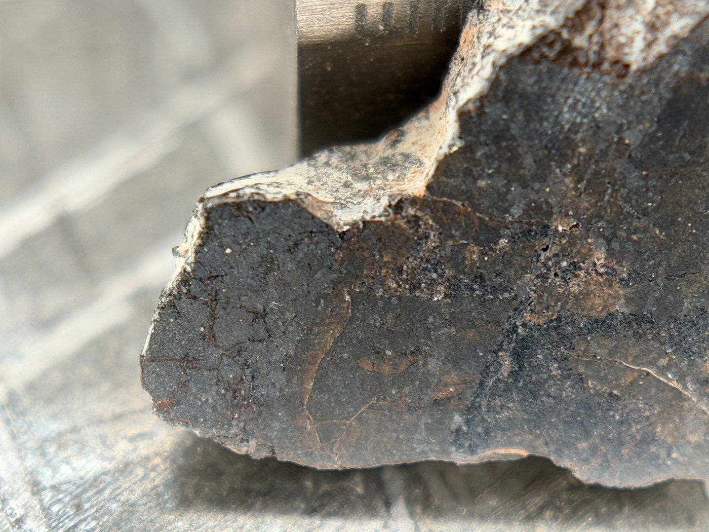 Rafsa 005 Angrite Meteorite End Cut, Plutonic Angrite, 1.40g, Protogranular Texture