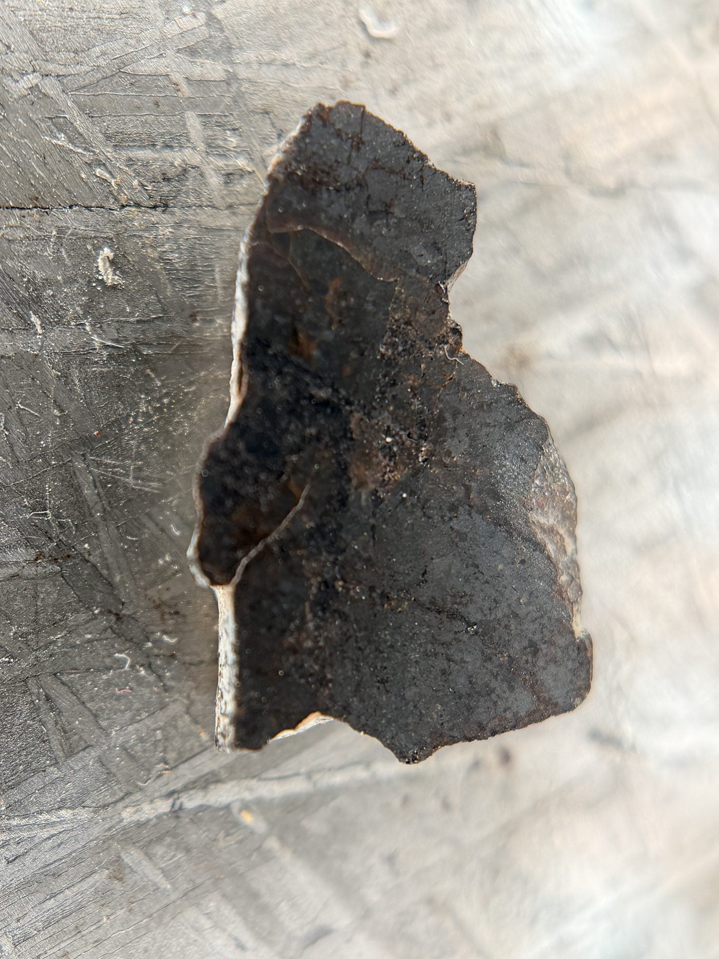 Rafsa 005 Angrite Meteorite End Cut, Plutonic Angrite, 1.40g, Protogranular Texture
