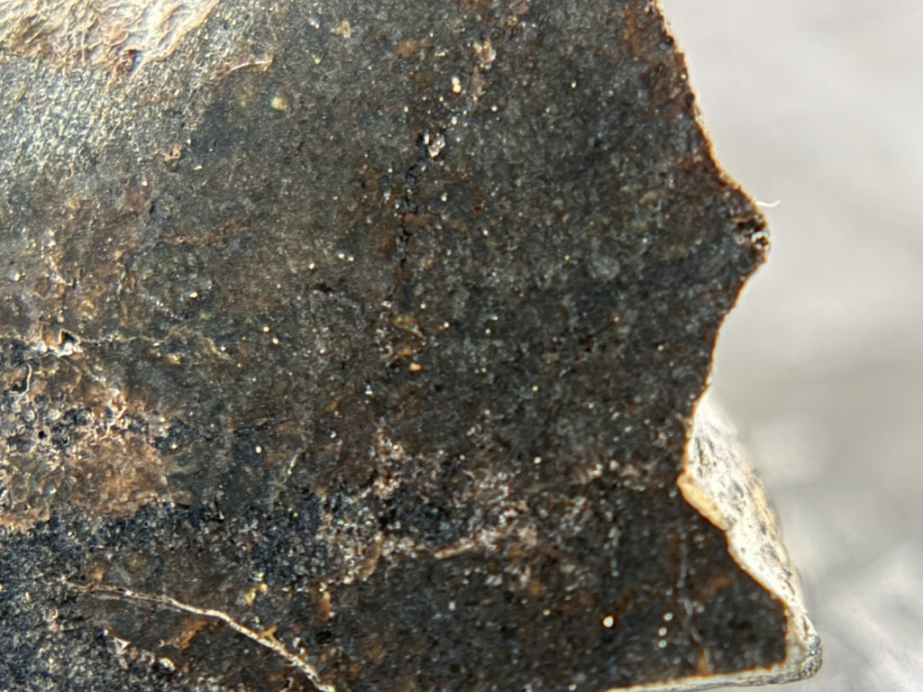 Rafsa 005 Angrite Meteorite End Cut, Plutonic Angrite, 1.40g, Protogranular Texture
