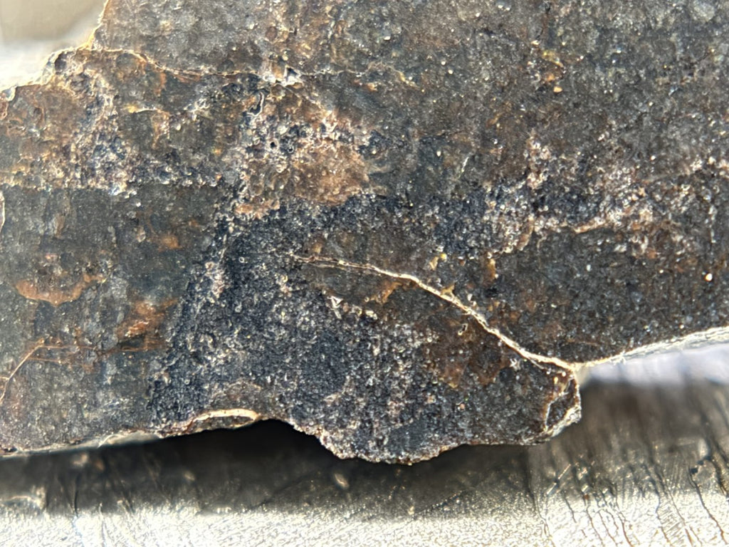 Rafsa 005 Angrite Meteorite End Cut, Plutonic Angrite, 1.40g, Protogranular Texture