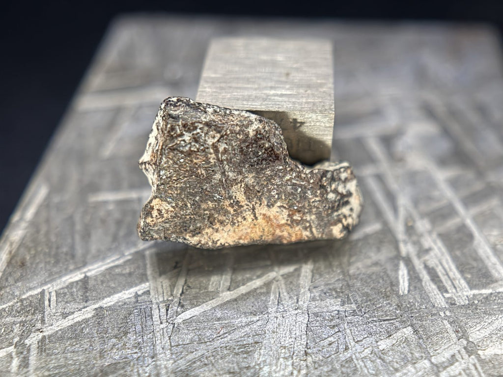 Rafsa 005 Angrite Meteorite End Cut, Plutonic Angrite, 1.40g, Protogranular Texture