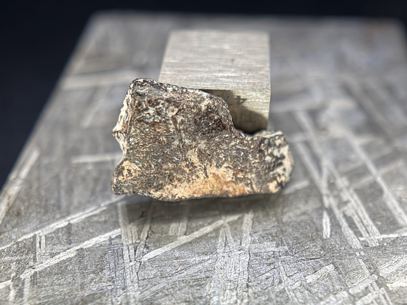Rafsa 005 Angrite Meteorite End Cut, Plutonic Angrite, 1.40g, Protogranular Texture
