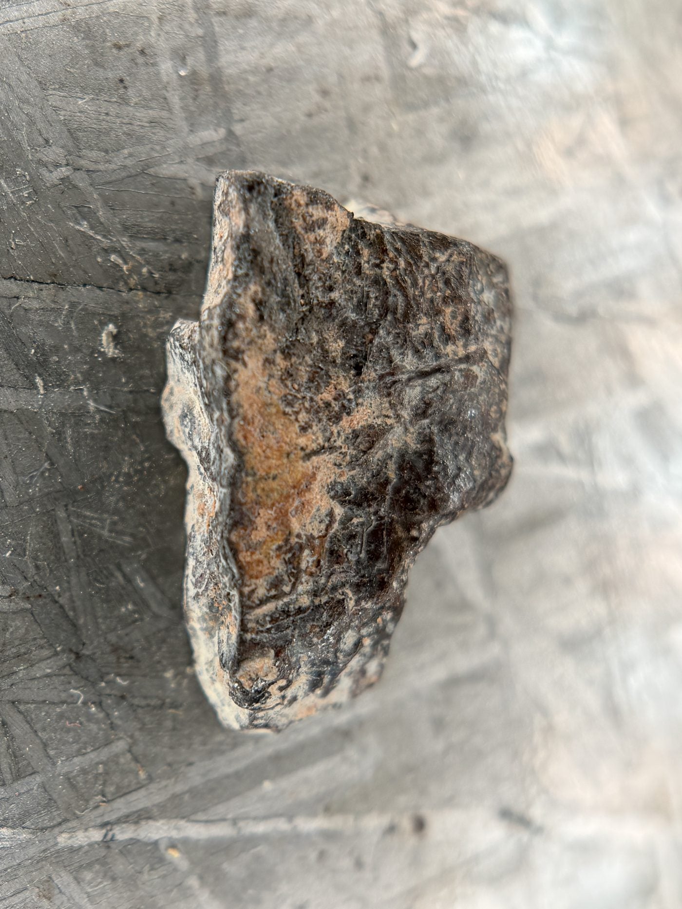 Rafsa 005 Angrite Meteorite End Cut, Plutonic Angrite, 1.40g, Protogranular Texture