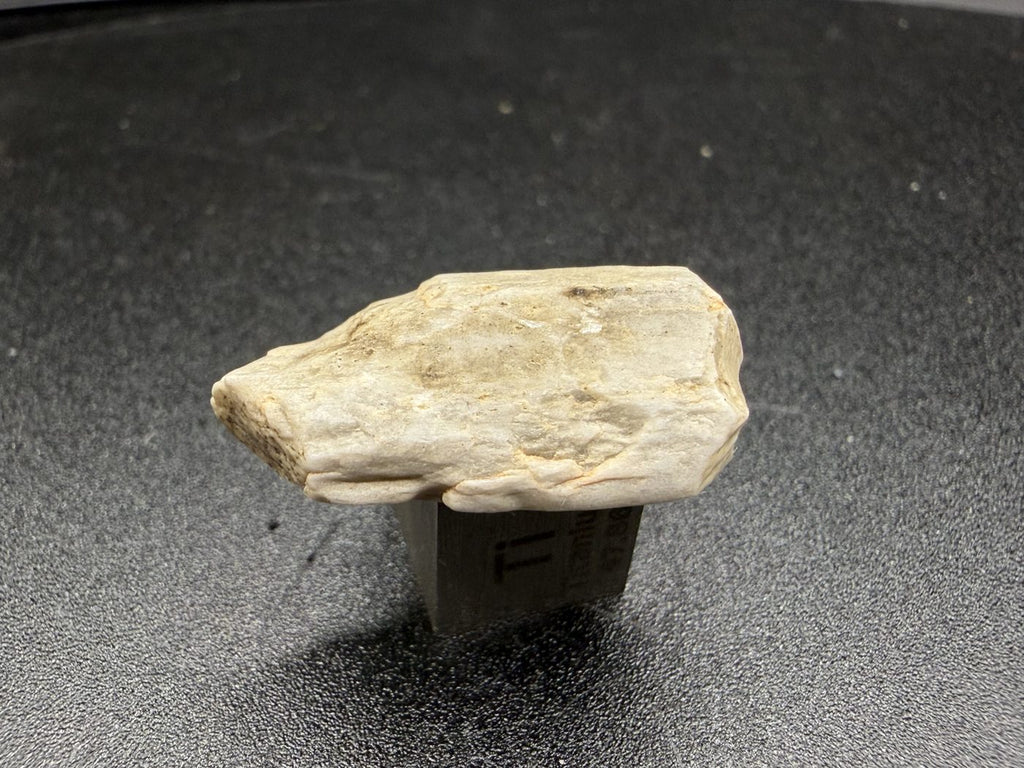 Sebkha el Melah 001 aubrite, 2.51g enstatite crystal reverse face on titanium scale cube