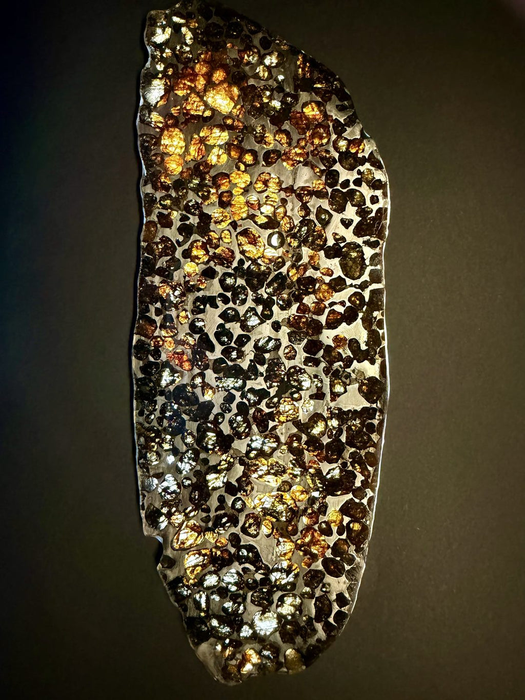 Full face of the Sericho pallasite slice under raking light, etched metal and olivine contrast