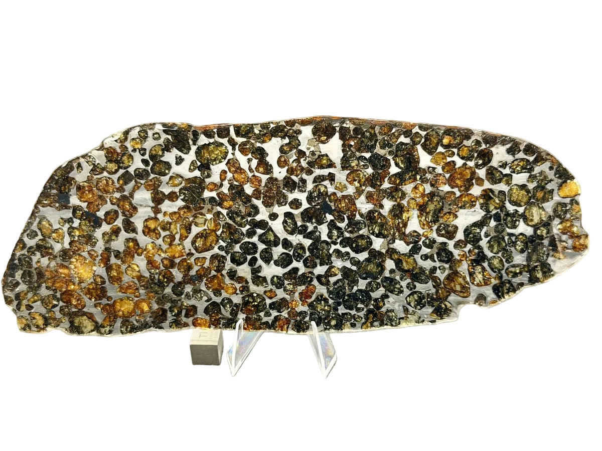Sericho pallasite full slice obverse face, olivine grains in etched iron-nickel matrix, 103.50 grams
