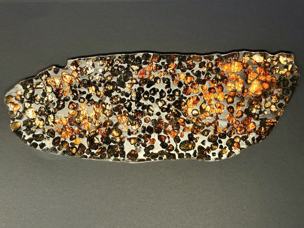 Reverse face of the Sericho pallasite full slice showing the complete cross section and natural margin