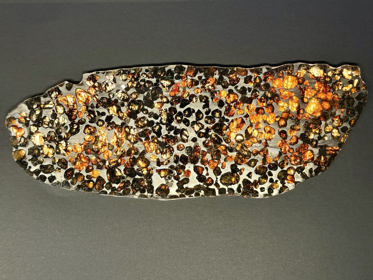 Reverse face of the Sericho pallasite full slice showing the complete cross section and natural margin