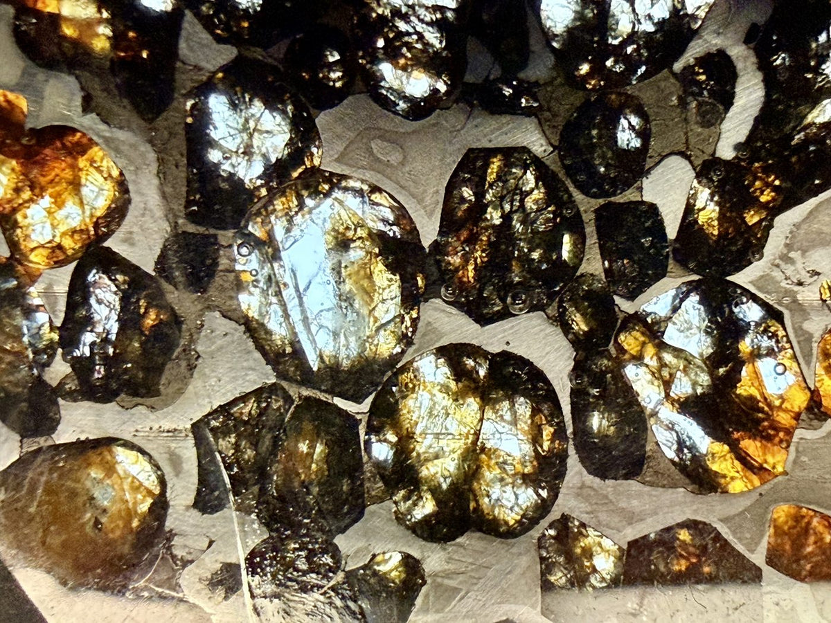 Macro view of Sericho olivine grains bounded by swathing kamacite in the etched metal matrix