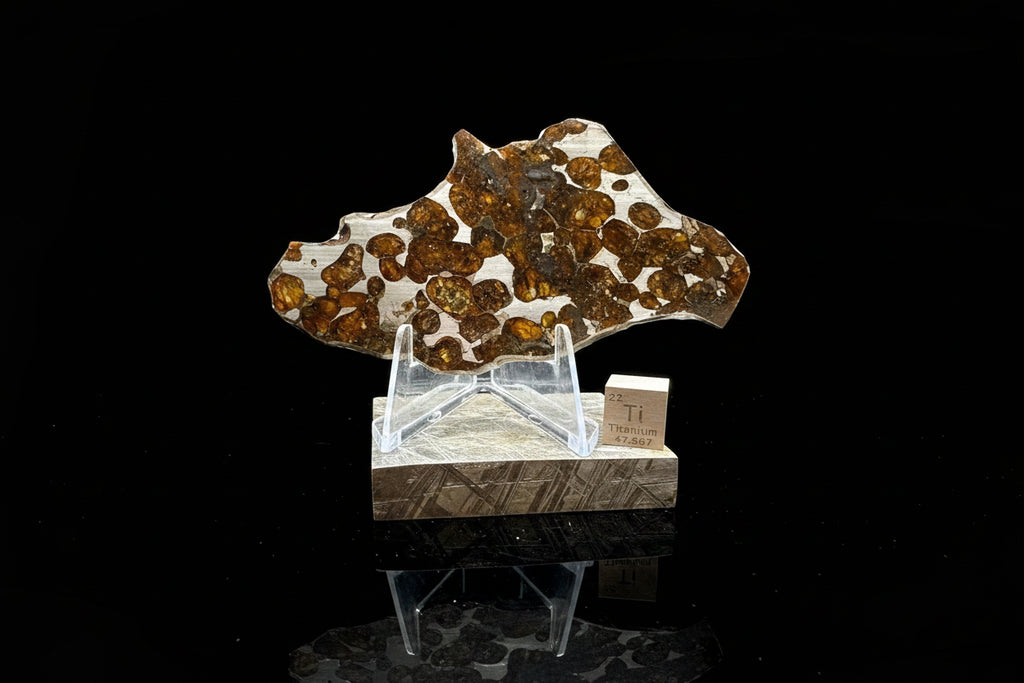 Front view of Sericho Pallasite Meteorite slice on Muonionalusta display base showing golden-orange olivine crystals embedded in polished iron-nickel matrix with titanium scale cube, 17.39g