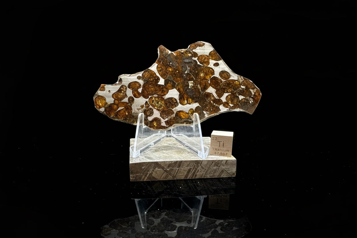 Front view of Sericho Pallasite Meteorite slice on Muonionalusta display base showing golden-orange olivine crystals embedded in polished iron-nickel matrix with titanium scale cube, 17.39g