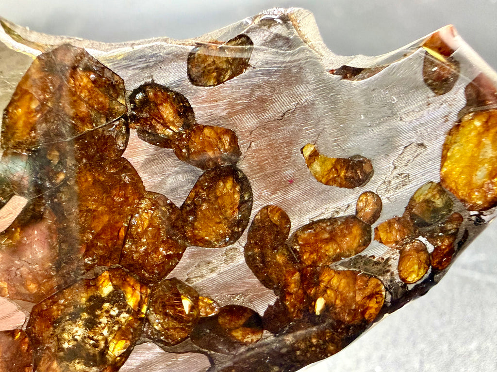 Macro photo of Sericho Pallasite Meteorite slice showing amber olivine crystals with translucent internal structure set against polished iron-nickel metal matrix, 17.39g