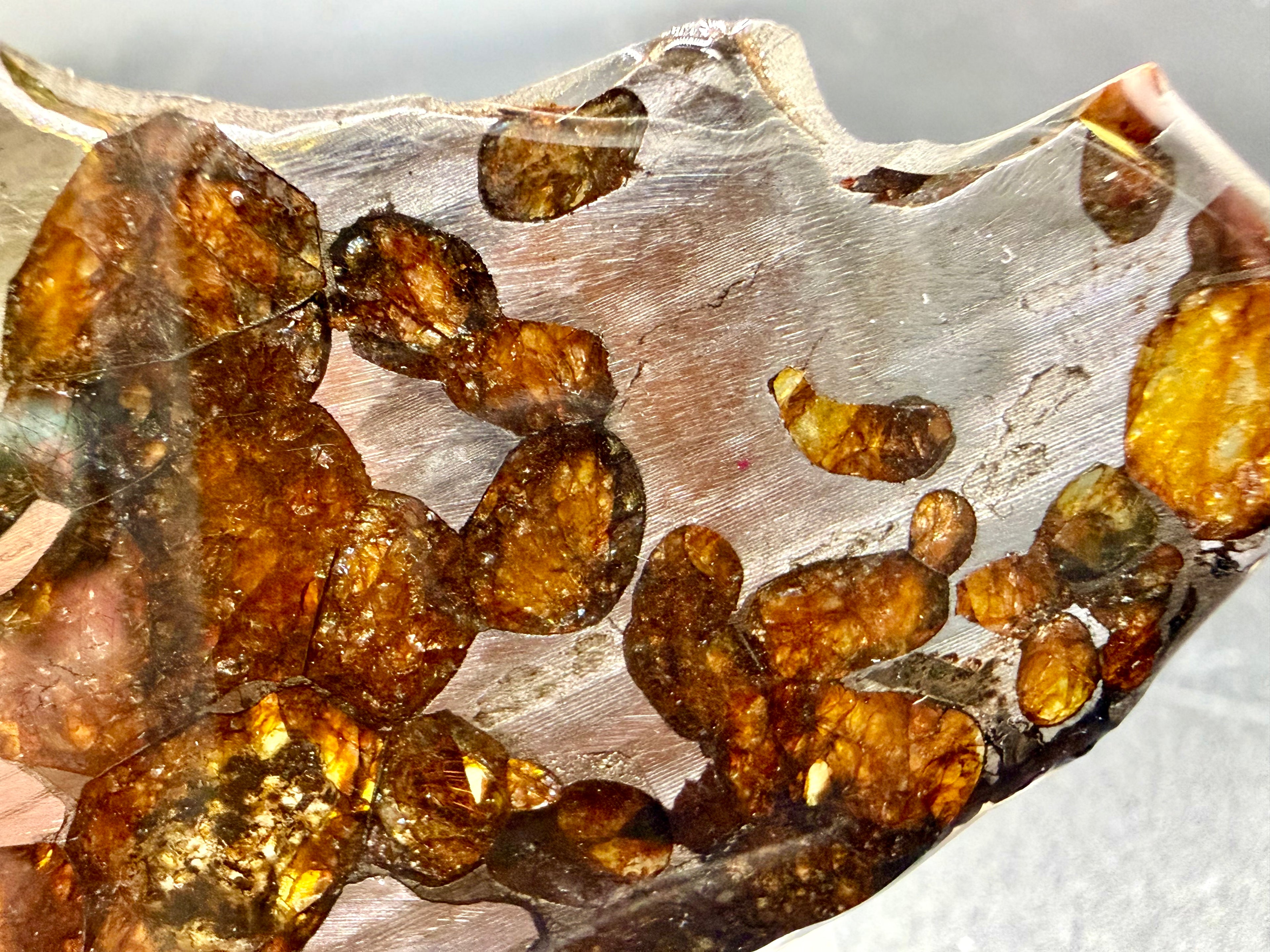 Macro photo of Sericho Pallasite Meteorite slice showing amber olivine crystals with translucent internal structure set against polished iron-nickel metal matrix, 17.39g