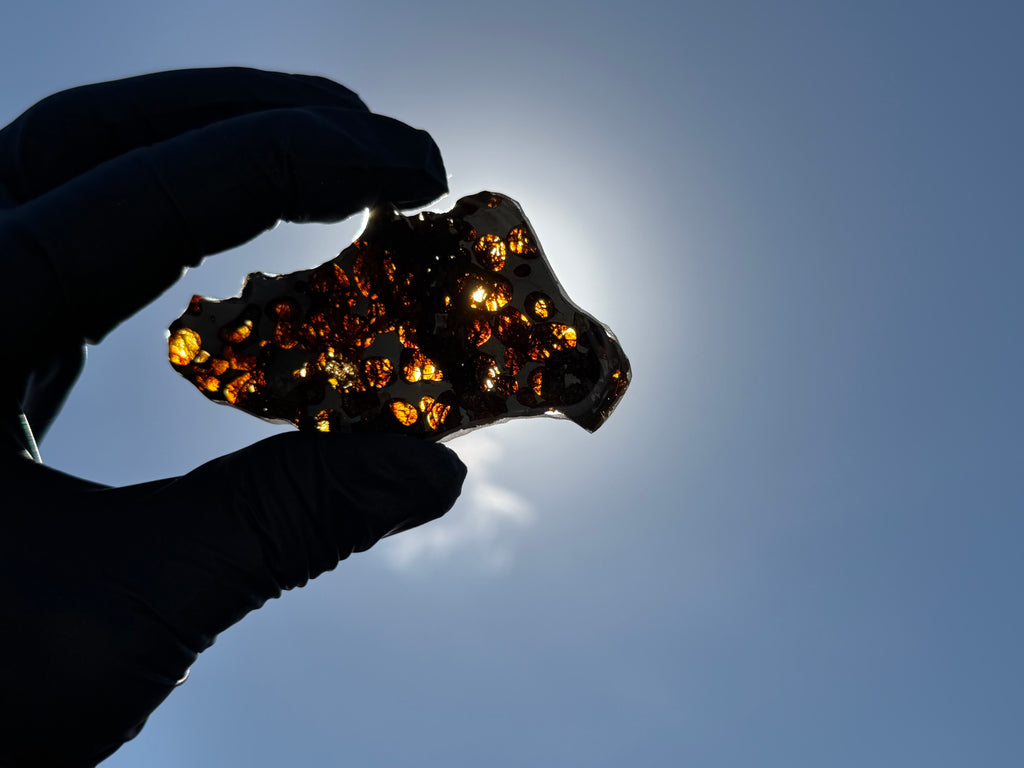 Sun-backlit view of Sericho Pallasite Meteorite slice held against blue sky showing translucent olivine crystals glowing with amber light transmission, 17.39g