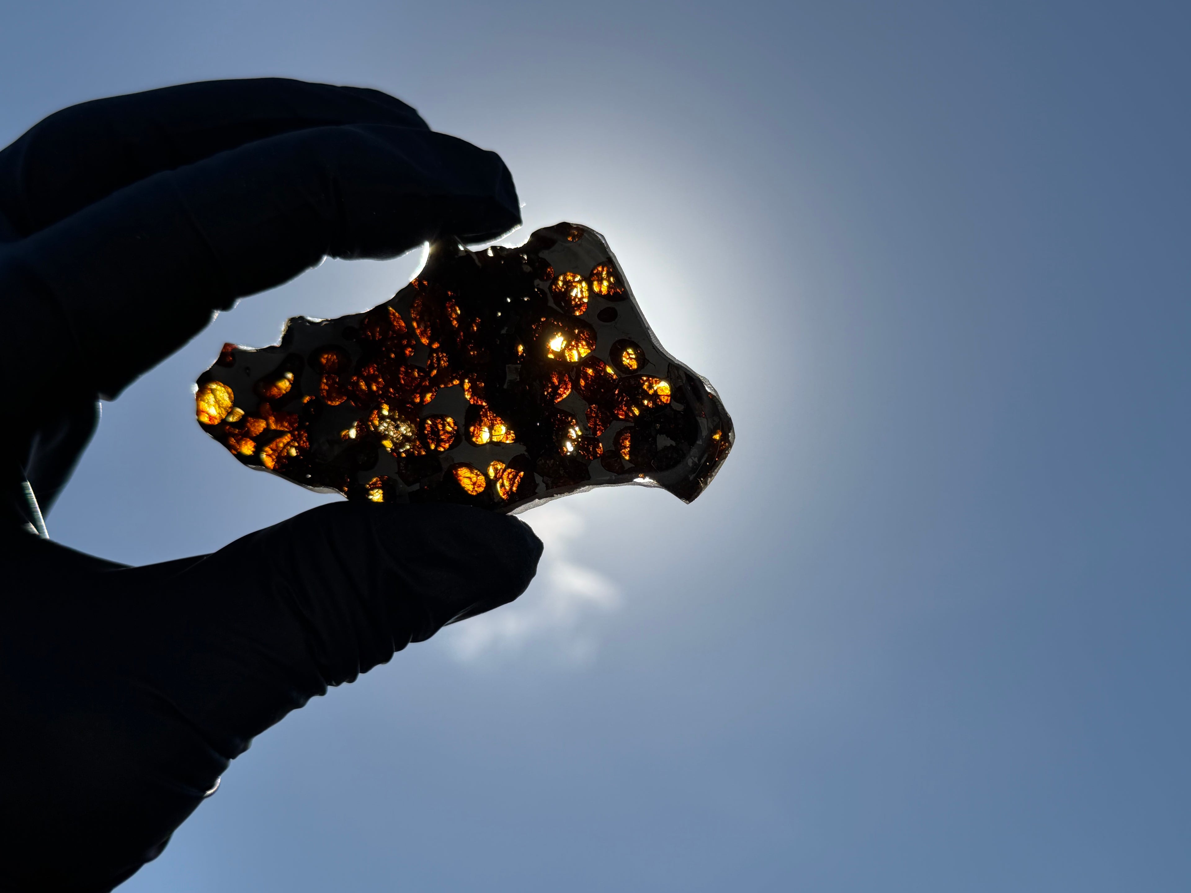 Sun-backlit view of Sericho Pallasite Meteorite slice held against blue sky showing translucent olivine crystals glowing with amber light transmission, 17.39g