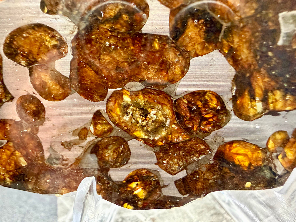 Macro detail of Sericho Pallasite Meteorite slice showing translucent olivine crystals with internal crystal structure and amber coloration, 17.39g