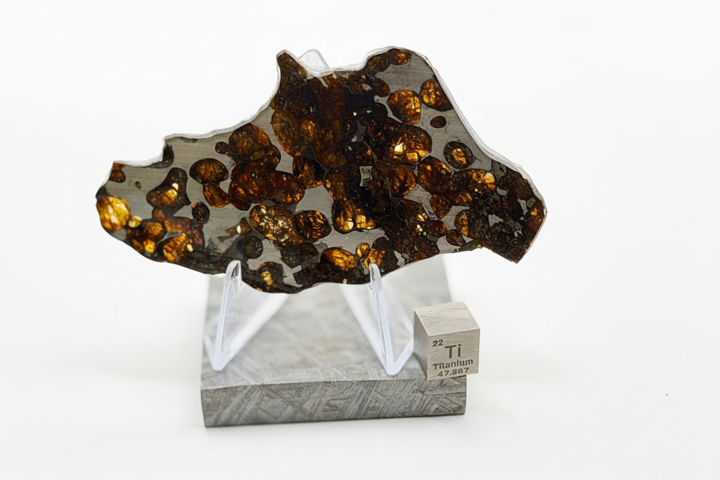 Hero photo of Sericho Pallasite Meteorite slice on white background showing olivine crystals in iron-nickel matrix mounted on Muonionalusta display base with titanium scale cube, 17.39g