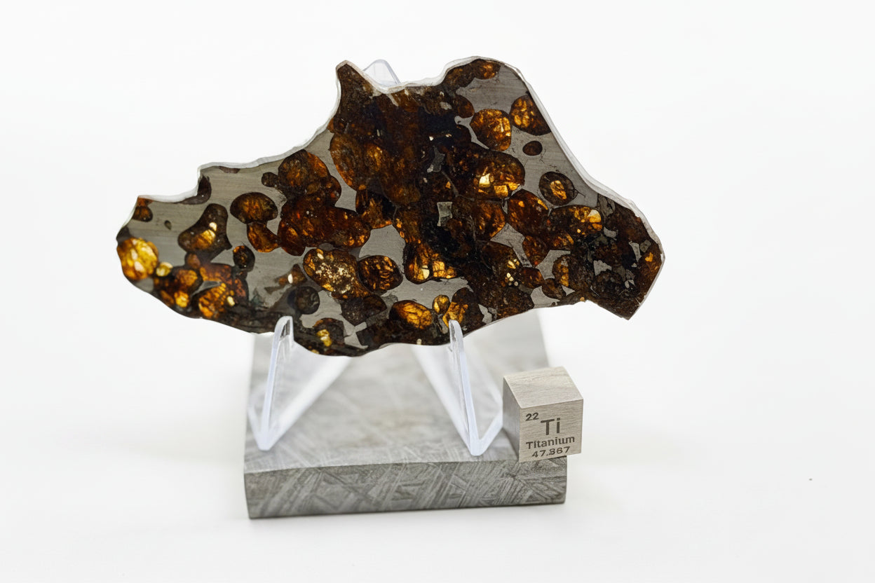 Hero photo of Sericho Pallasite Meteorite slice on white background showing olivine crystals in iron-nickel matrix mounted on Muonionalusta display base with titanium scale cube, 17.39g
