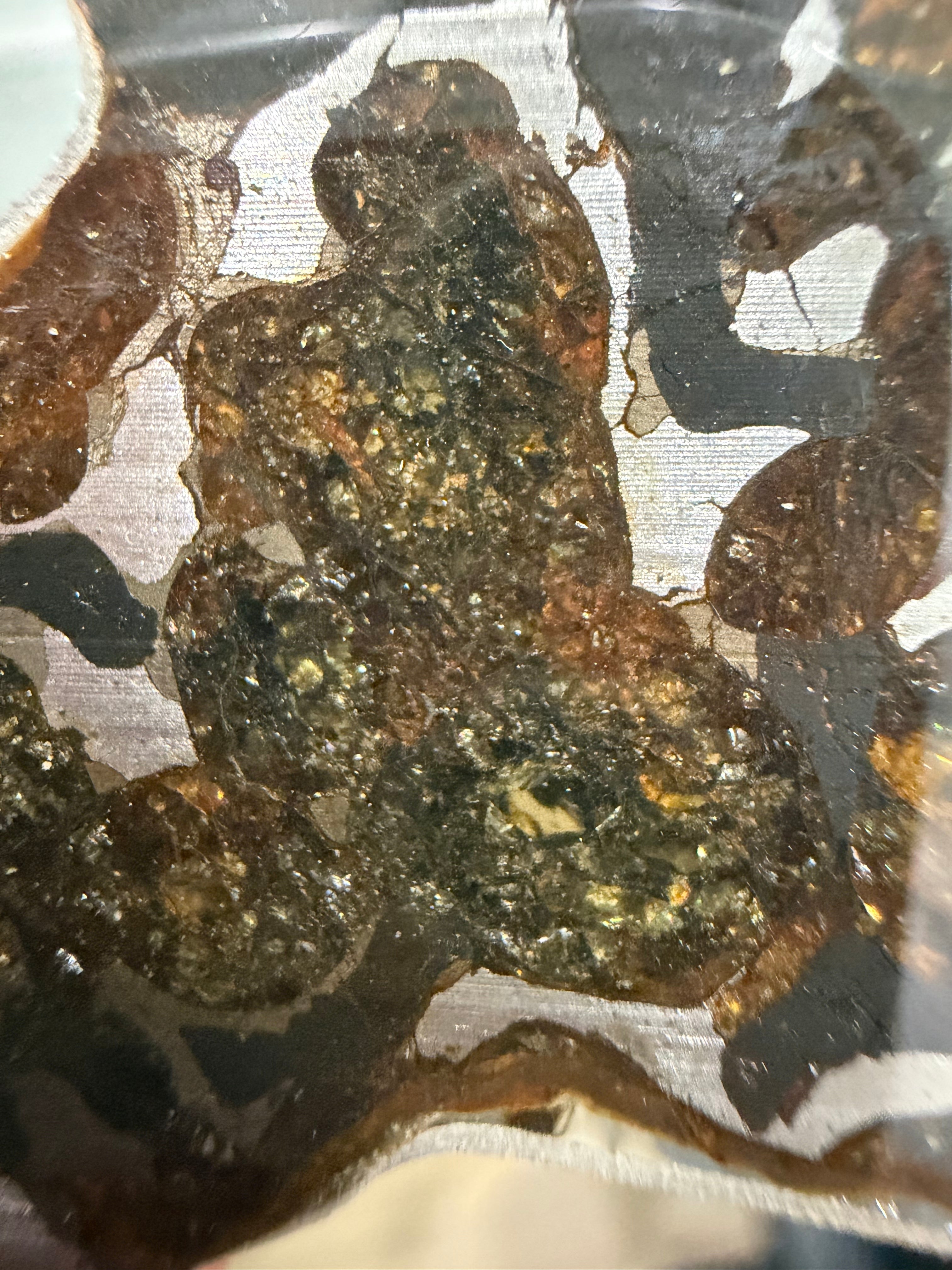 Sericho pallasite 9.33g, macro view of weathered olivine crystals with amber and gold tones in iron-nickel matrix
