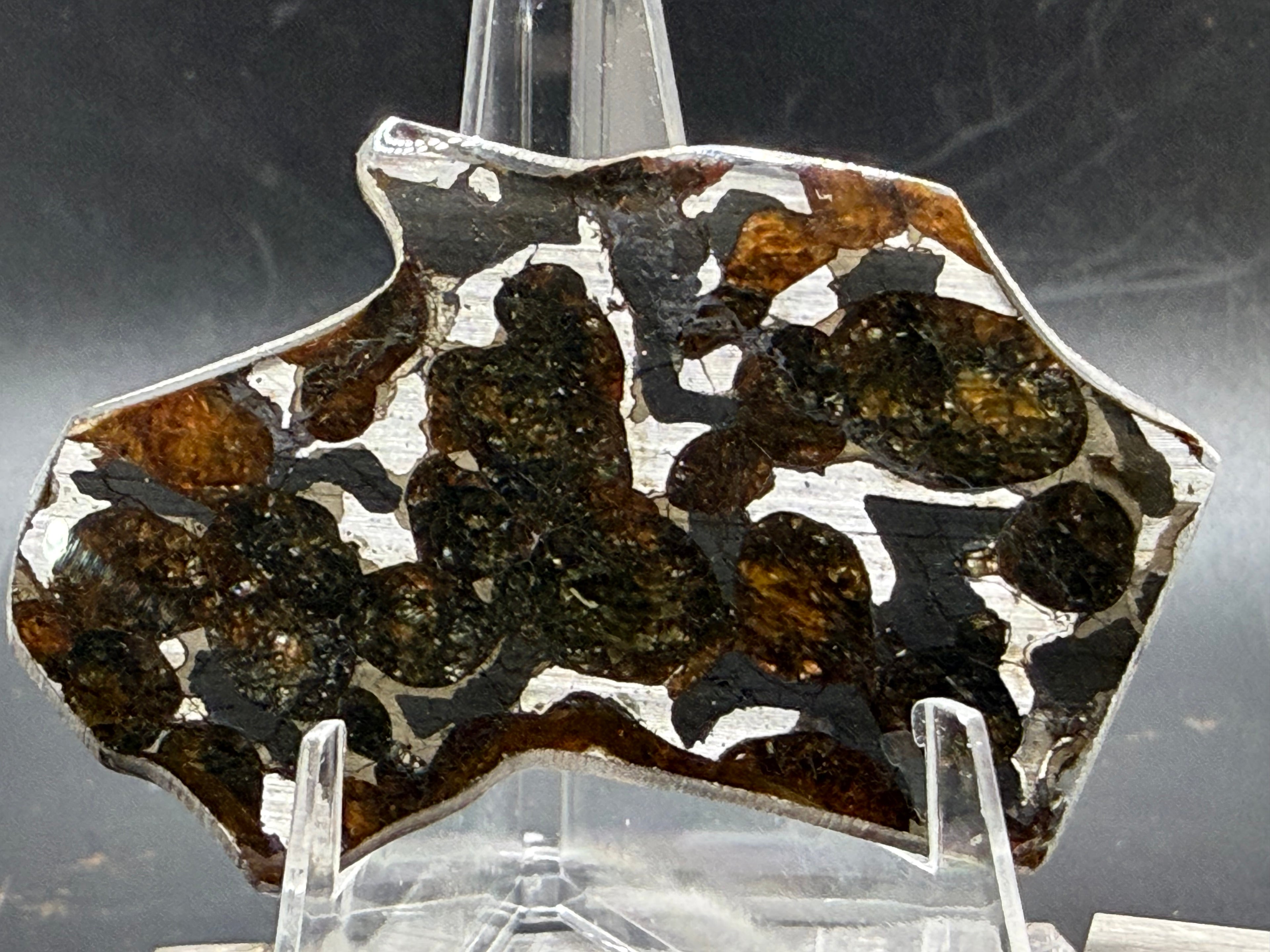 Sericho pallasite slice 9.33g, polished face showing olivine crystal distribution in metallic iron-nickel matrix, stony-iron meteorite