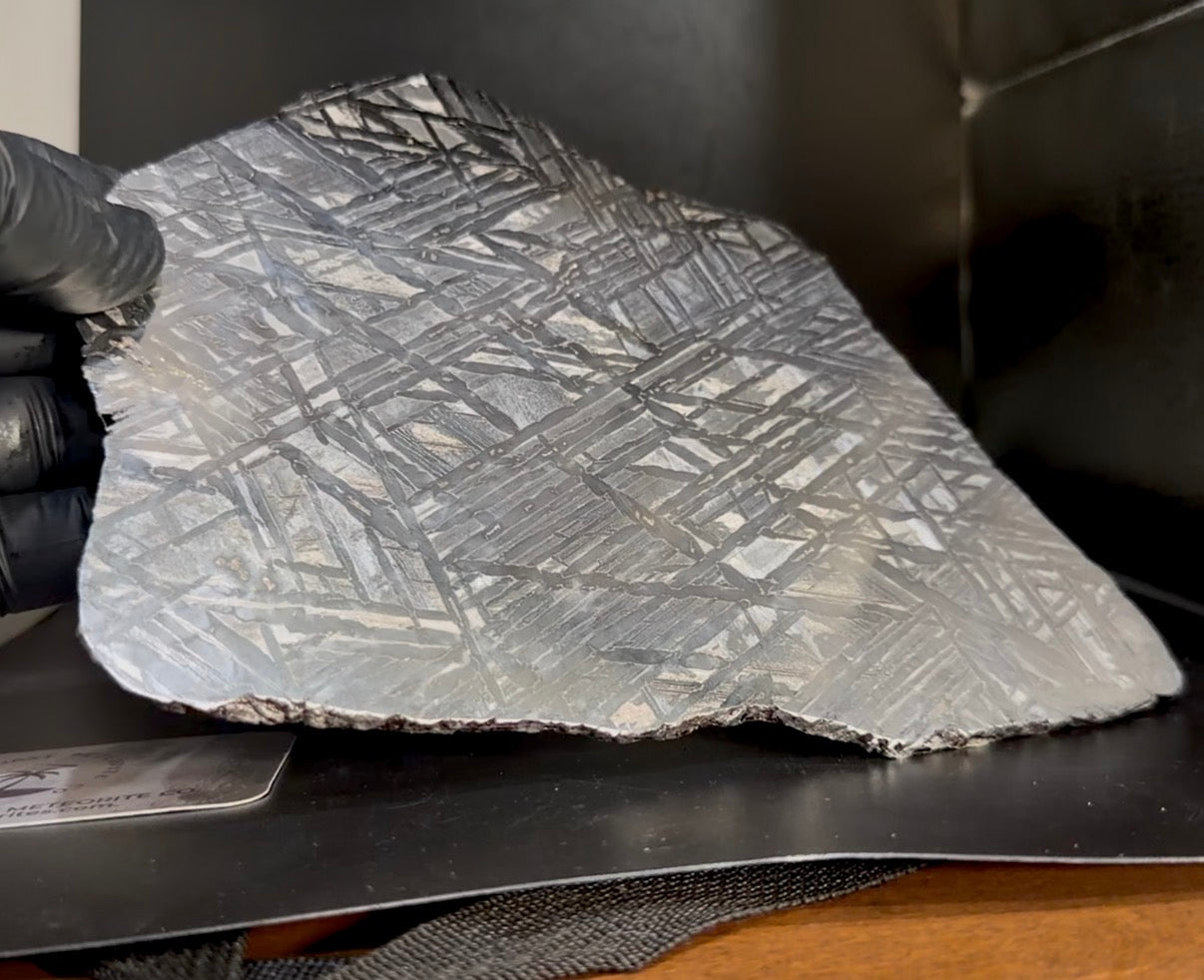 Seymchan pallasite 591g full slice Widmanstätten pattern across full face held in gloved hand overhead view