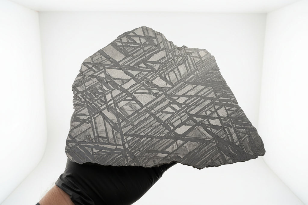 Seymchan pallasite 591g full slice held in gloved hand showing etched cut face and natural uncut edge