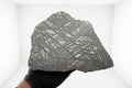 Seymchan pallasite 591g full slice held in gloved hand showing etched cut face and natural uncut edge