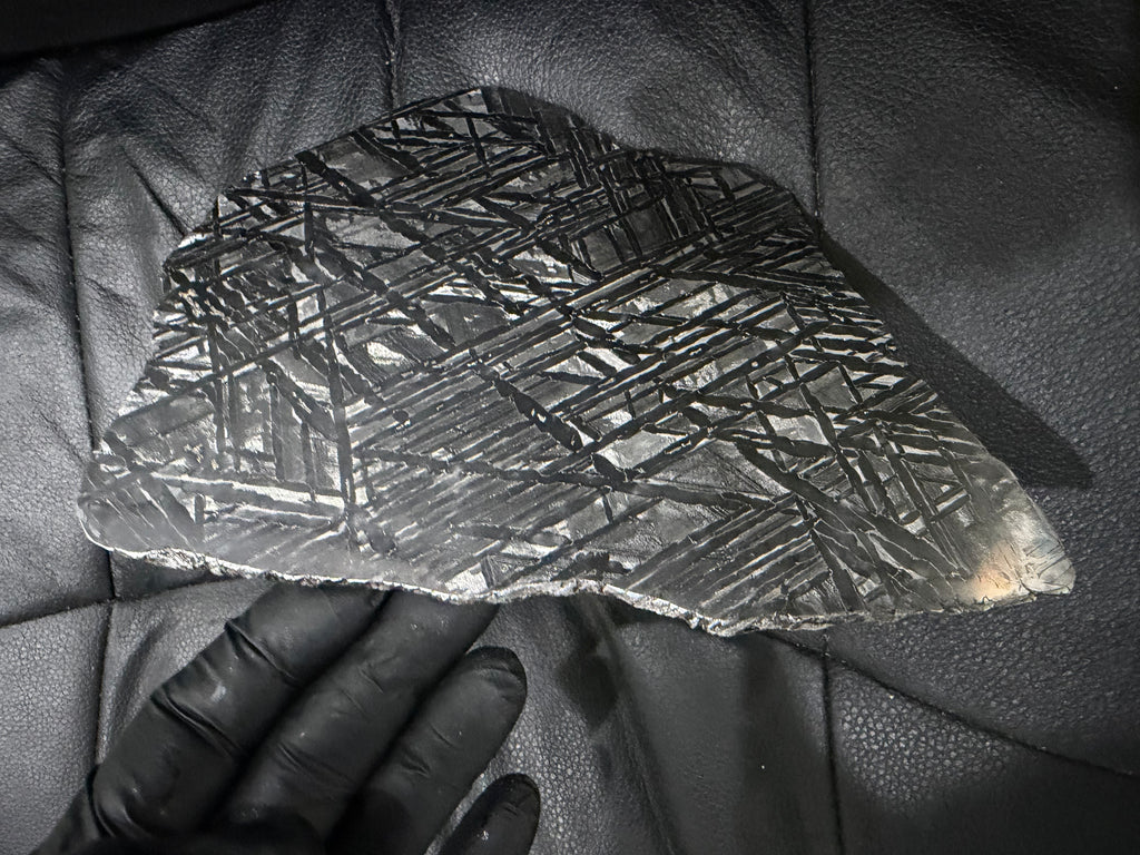 Seymchan pallasite 591g full slice laid flat on dark surface showing Widmanstätten pattern full face