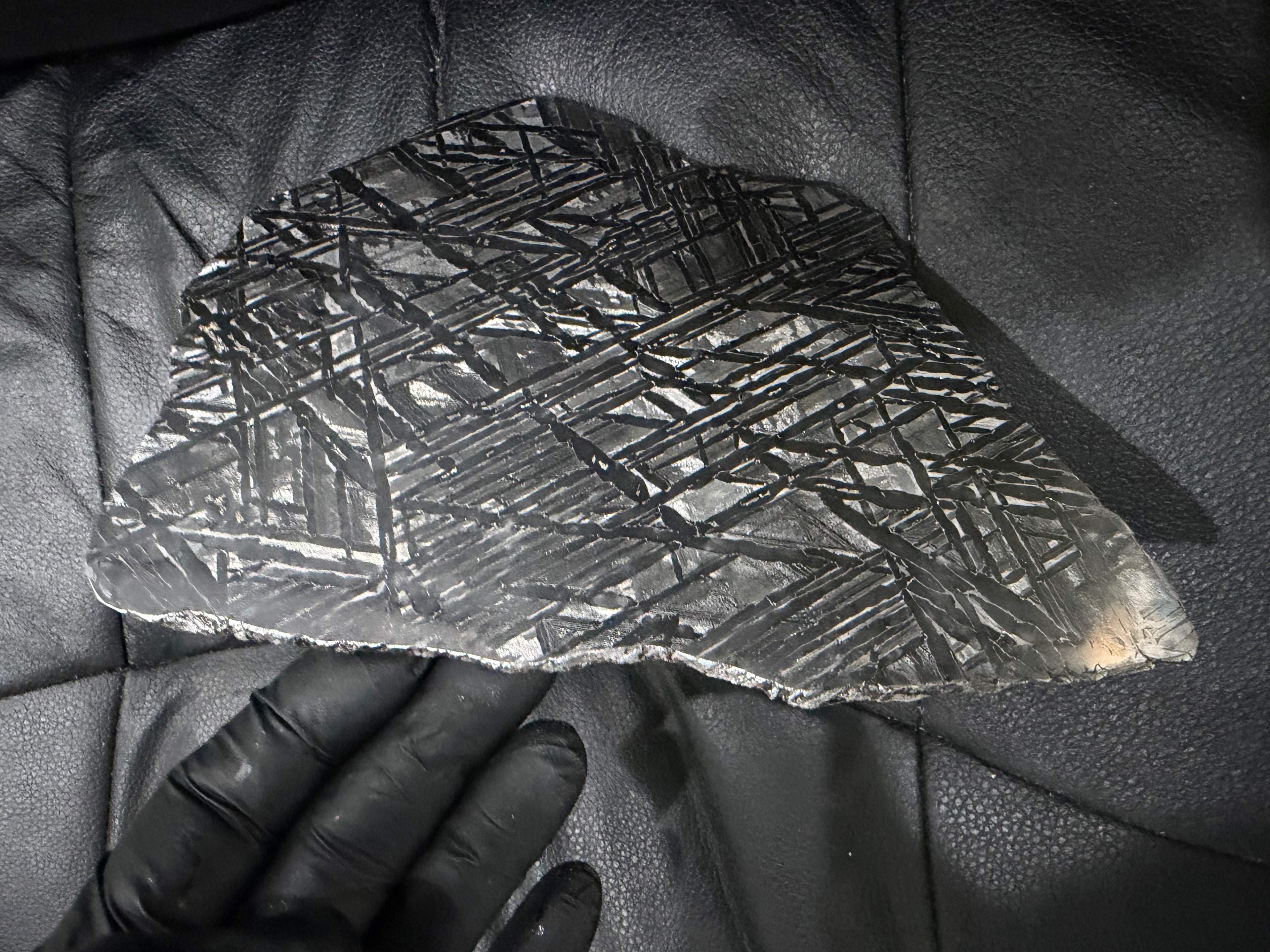 Seymchan pallasite 591g full slice laid flat on dark surface showing Widmanstätten pattern full face