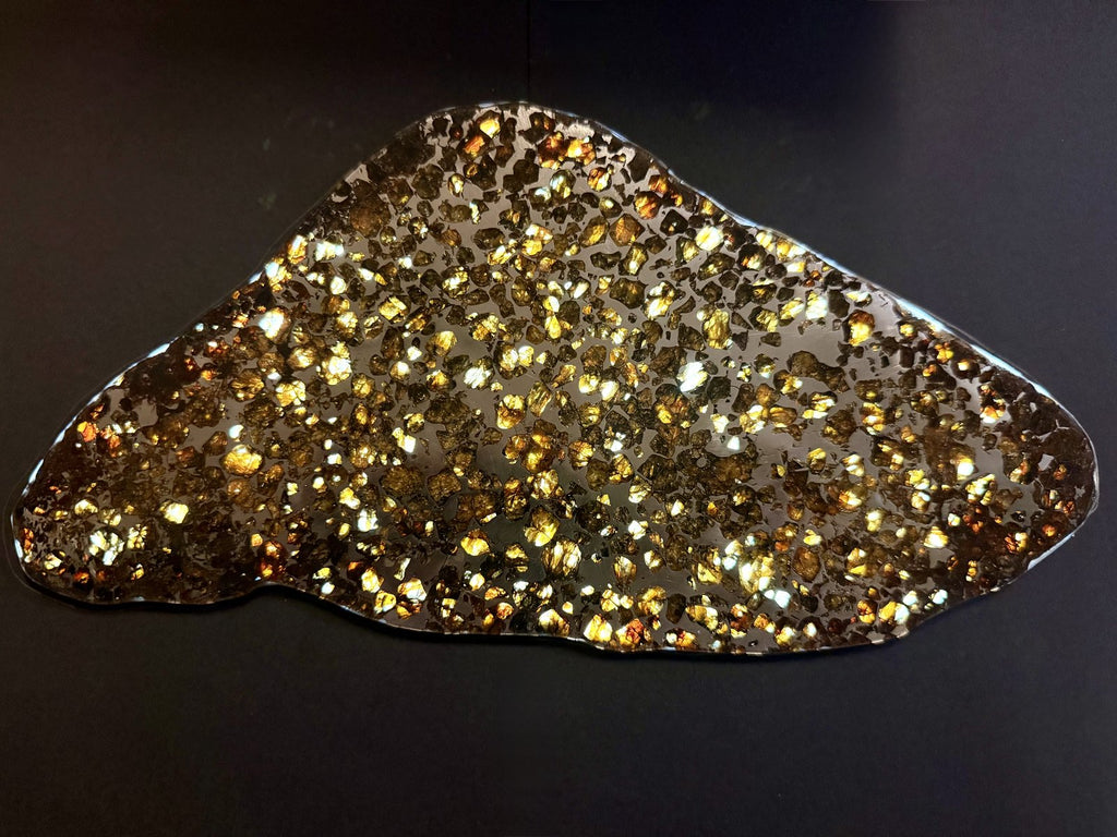Seymchan pallasite full slice, 286.28 g, second backlit view of the cut face