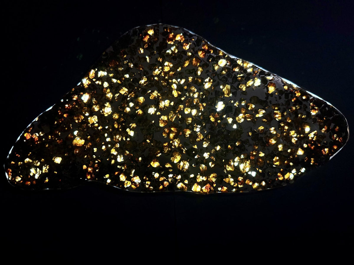 Seymchan pallasite full slice, 286.28 g, cut face against a dark background