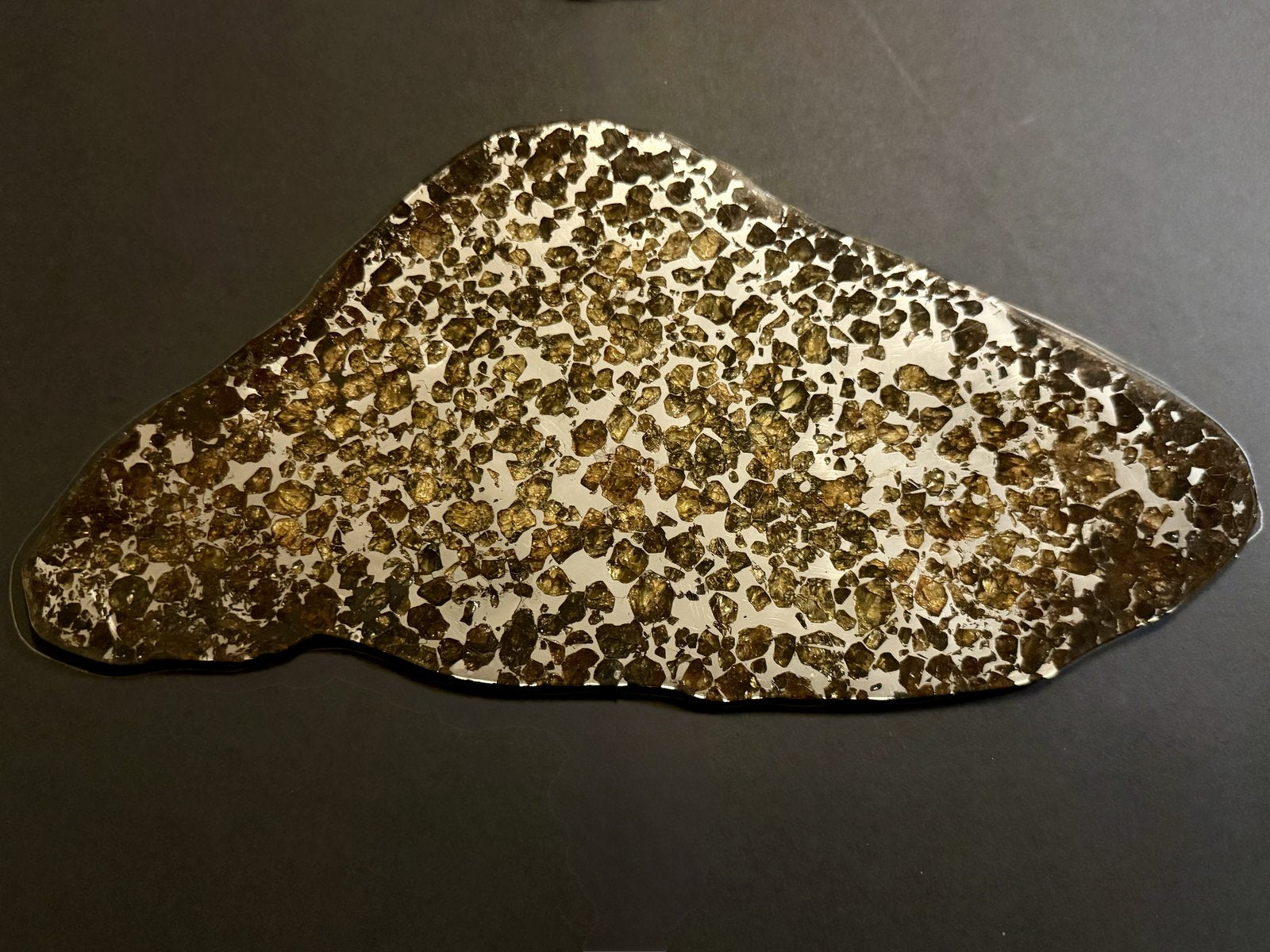 Seymchan pallasite full slice, 286.28 g, same face in reflected light showing the metal matrix