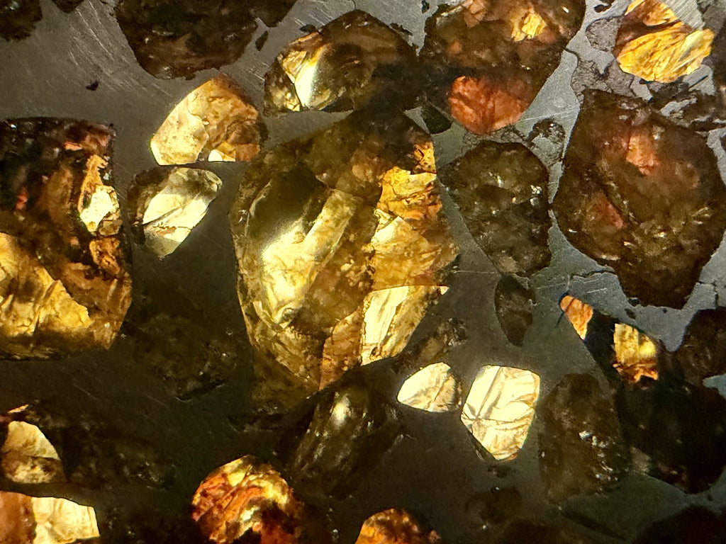 Seymchan pallasite, macro detail of olivine crystals set in the iron nickel matrix