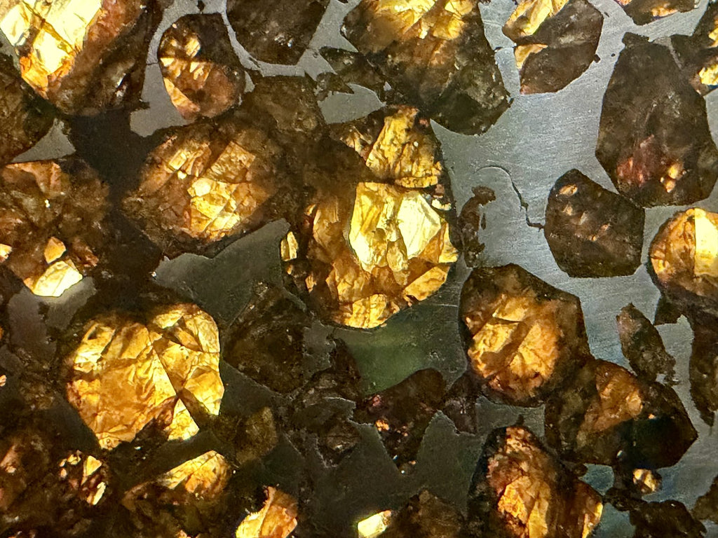 Seymchan pallasite, macro detail of angular olivine crystals separated by metal veins