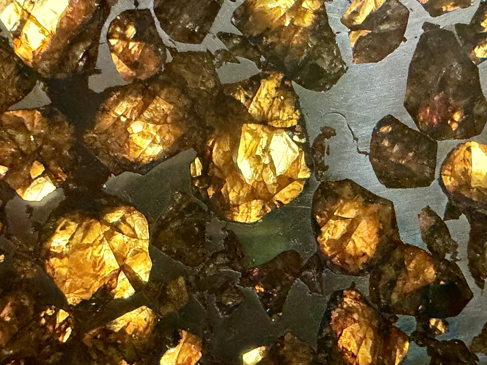 Seymchan pallasite, macro detail of angular olivine crystals separated by metal veins