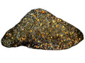 Seymchan pallasite full slice, 308.40 g, backlit cut face on a white background