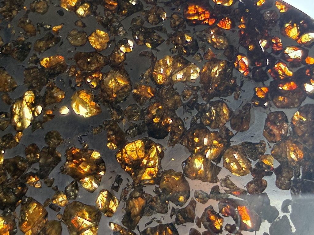 Seymchan pallasite, macro detail of olivine crystals set in the iron nickel matrix