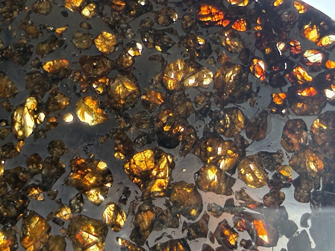 Seymchan pallasite, macro detail of olivine crystals set in the iron nickel matrix